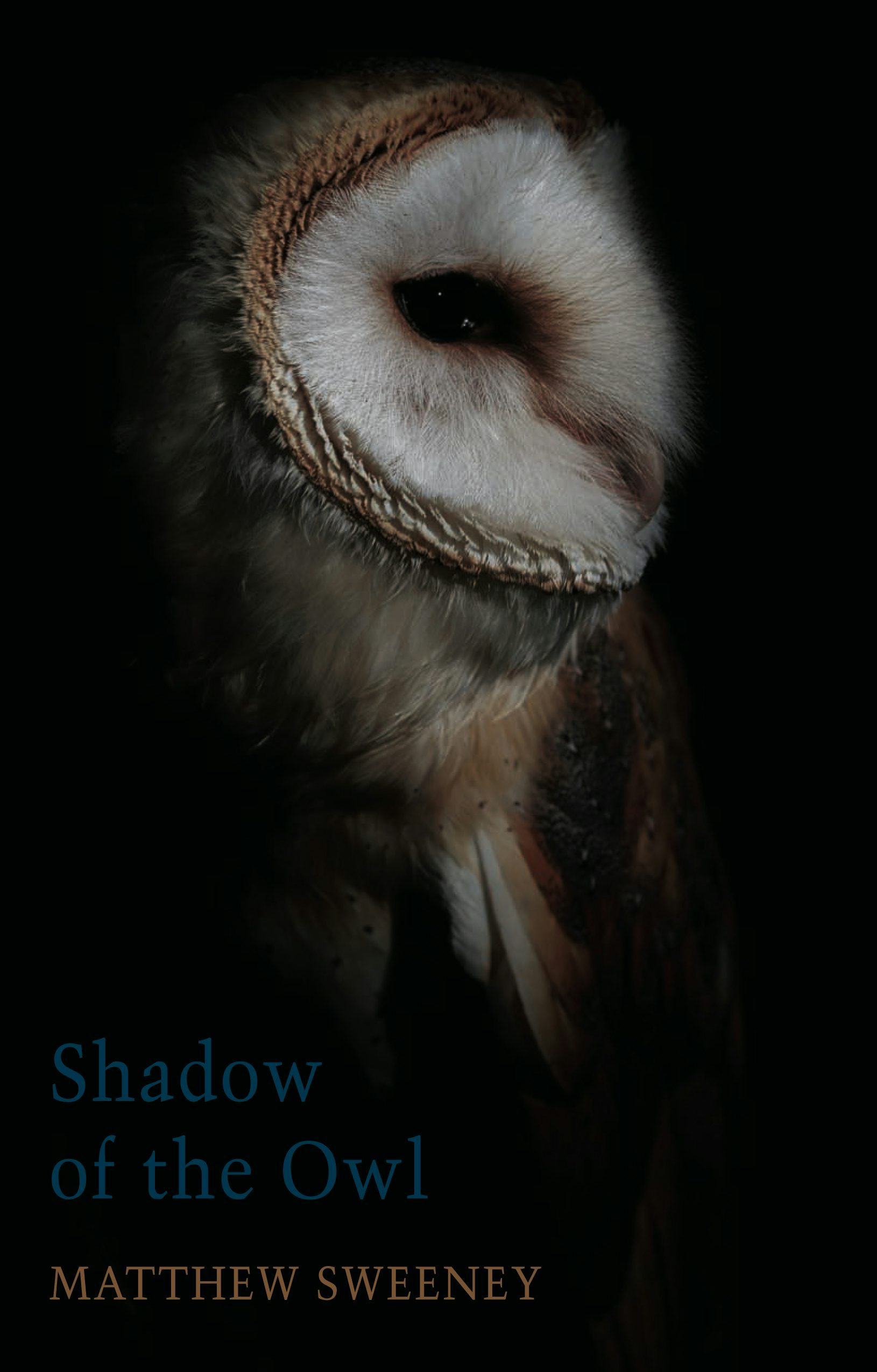 Book cover image for Shadow of the Owl ISBN: 9781780375427